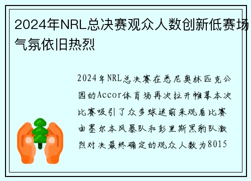 2024年NRL总决赛观众人数创新低赛场气氛依旧热烈